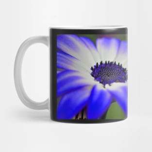 HDR Senetti #4 Mug